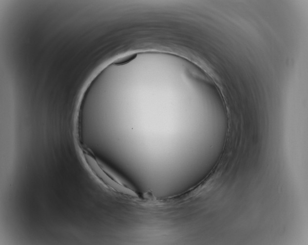 X0000094231536200711161859