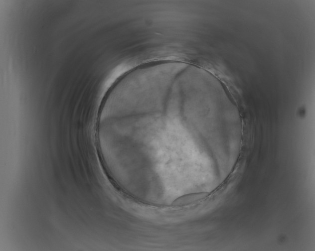 X0000094230003200711241755
