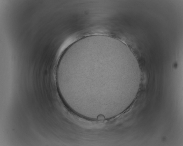 X0000094230004200711241755