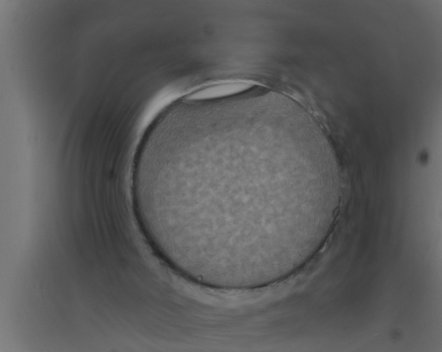 X0000094230006200711241755