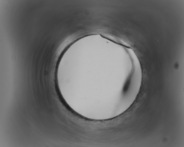 X0000094230007200711241755
