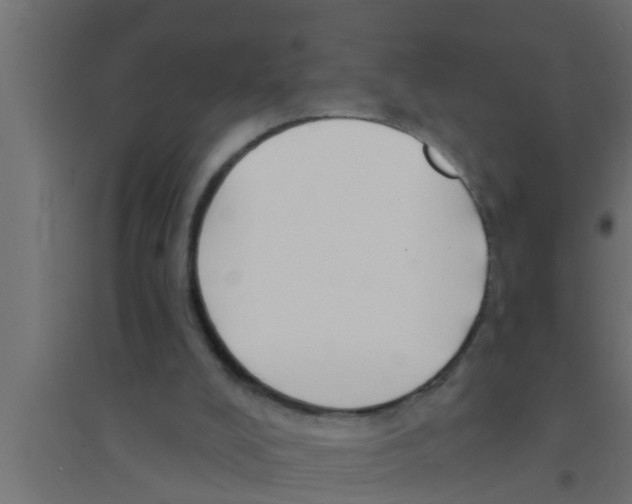 X0000094230008200711241755