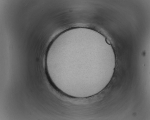 X0000094230011200711241755