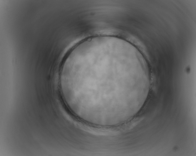 X0000094230012200711241755