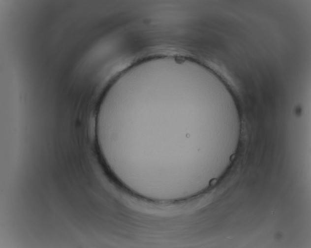 X0000094230014200711241755