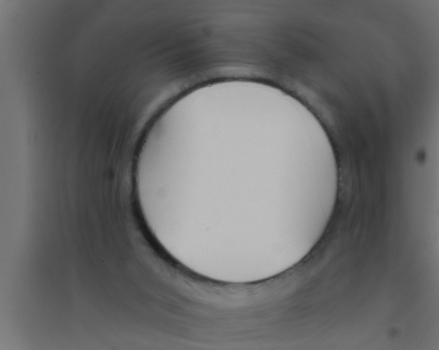 X0000094230015200711241755