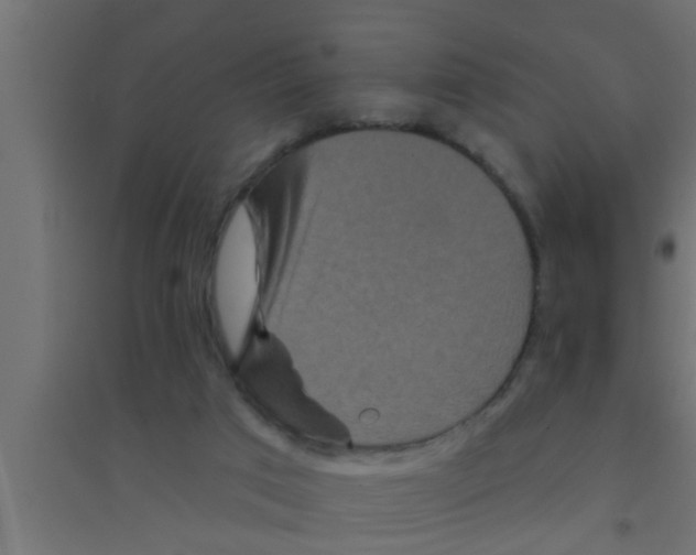X0000094230017200711241755