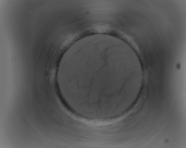X0000094230018200711241755