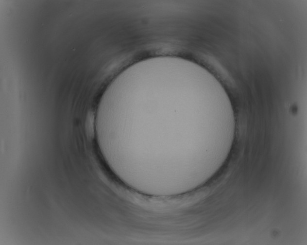 X0000094230022200711241755