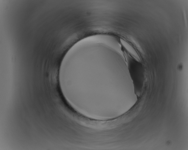 X0000094230023200711241755