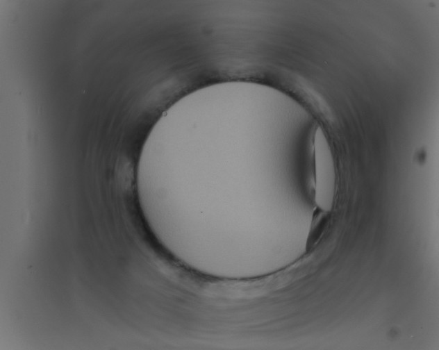 X0000094230025200711241755