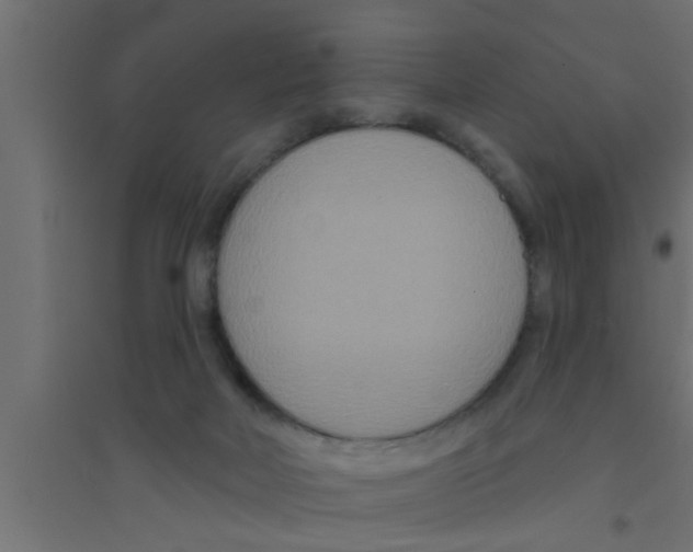 X0000094230026200711241755