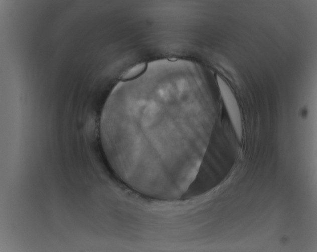 X0000094230029200711241755