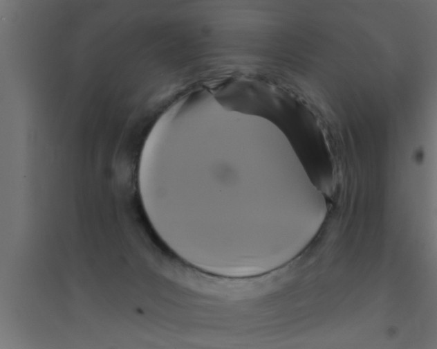 X0000094230031200711241755