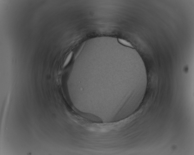 X0000094230033200711241755