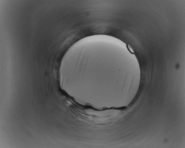 X0000094230035200711241755