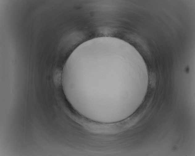 X0000094230036200711241755