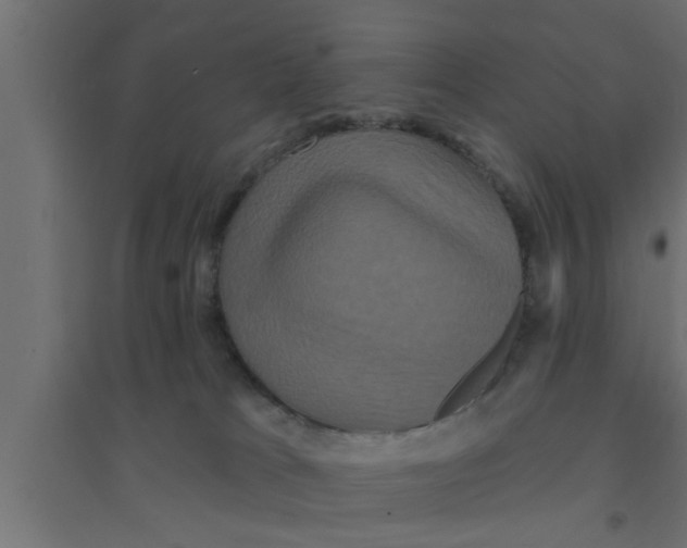 X0000094230037200711241755