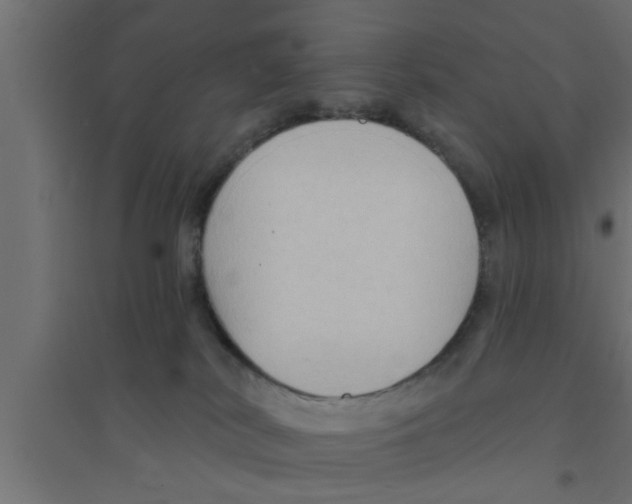 X0000094230038200711241755