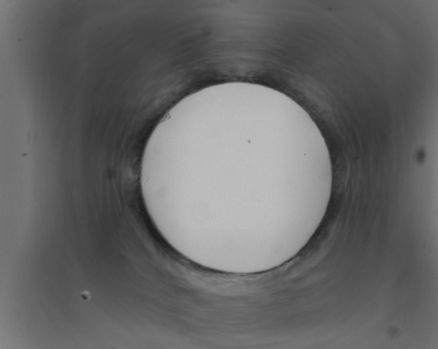 X0000094230040200711241755