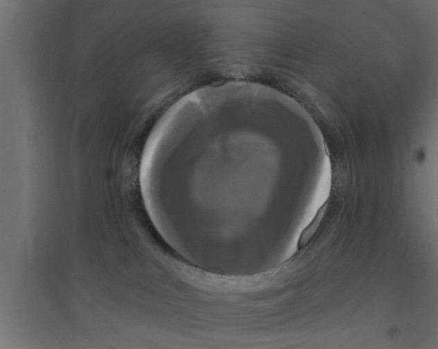 X0000094230043200711241755