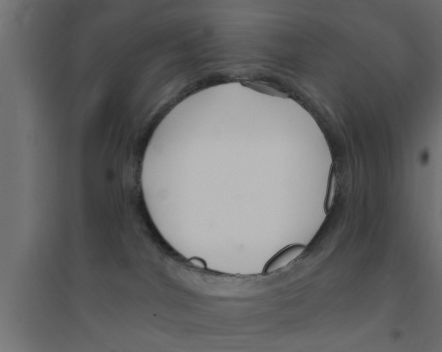 X0000094230044200711241755