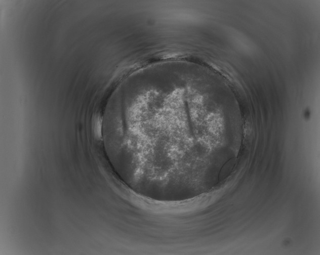 X0000094230046200711241755