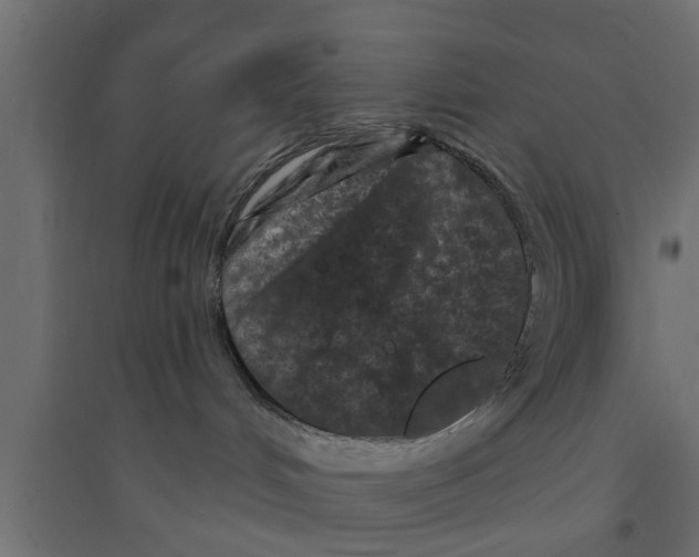 X0000094230048200711241755