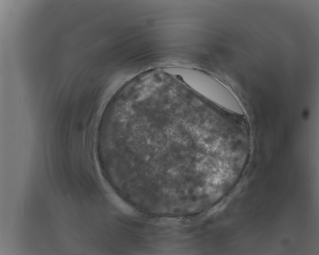 X0000094230049200711241754