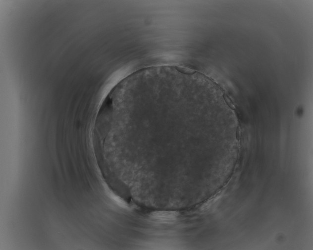 X0000094230051200711241754
