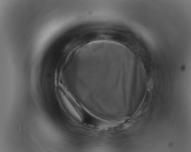 X0000094230052200711241754