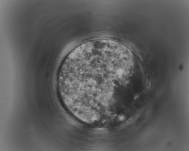 X0000094230053200711241754