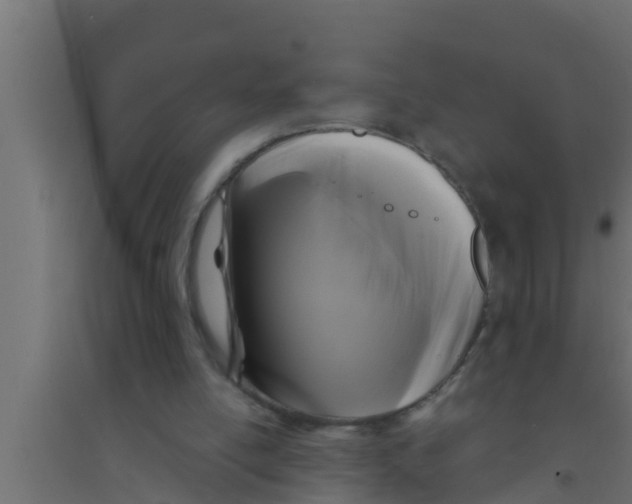 X0000094230054200711241754