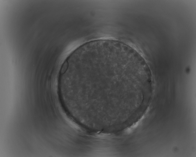 X0000094230055200711241754