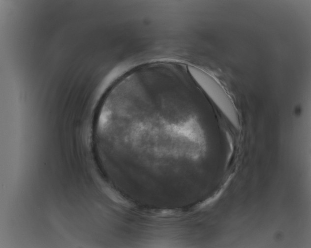 X0000094230056200711241754