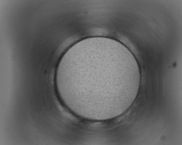 X0000094230058200711241754