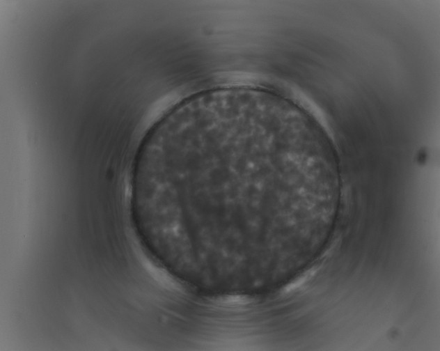 X0000094230059200711241754