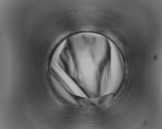 X0000094230060200711241754