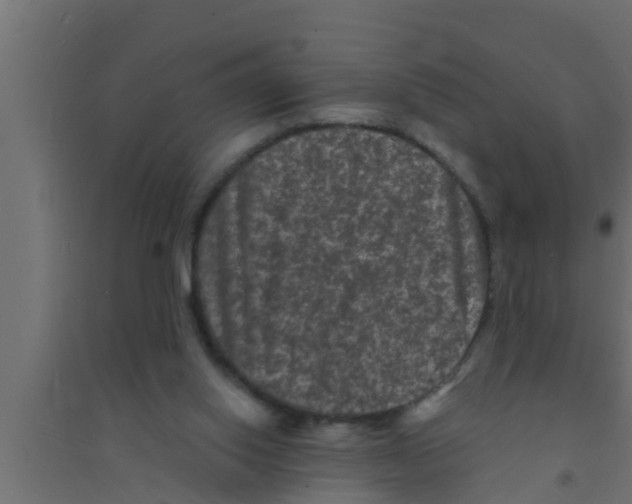 X0000094230062200711241754
