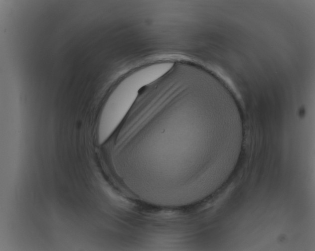 X0000094230063200711241754