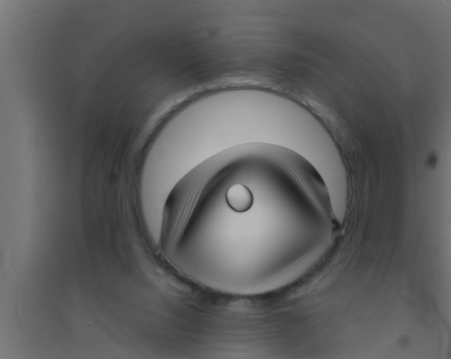 X0000094230064200711241754