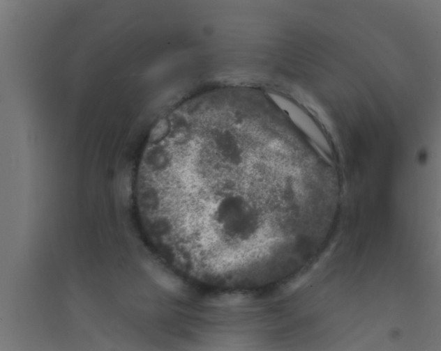 X0000094230065200711241754
