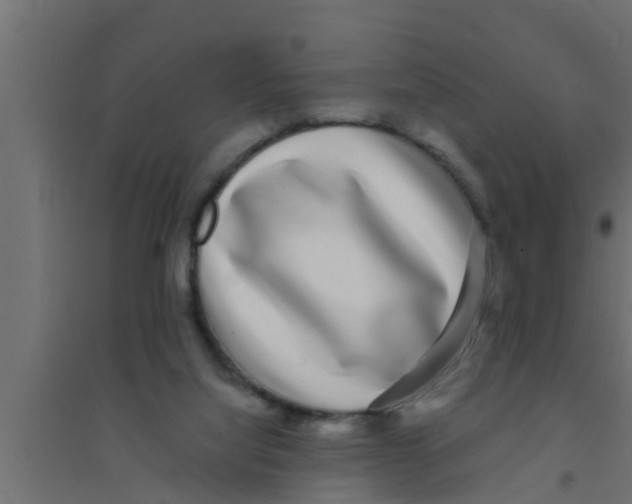 X0000094230068200711241754