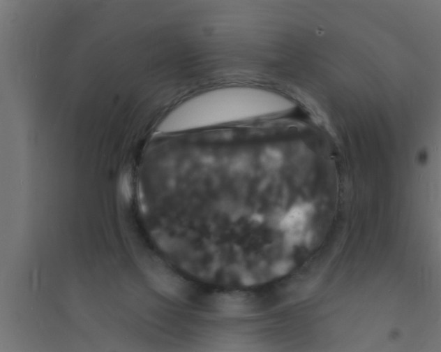 X0000094230069200711241754