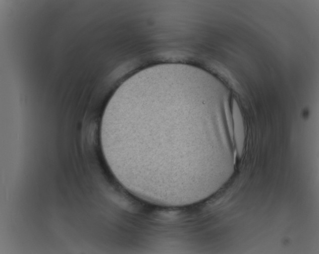 X0000094230071200711241754