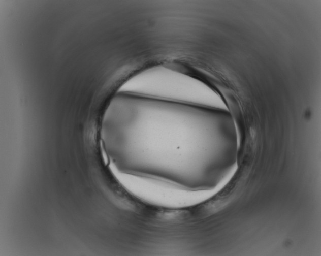 X0000094230072200711241754