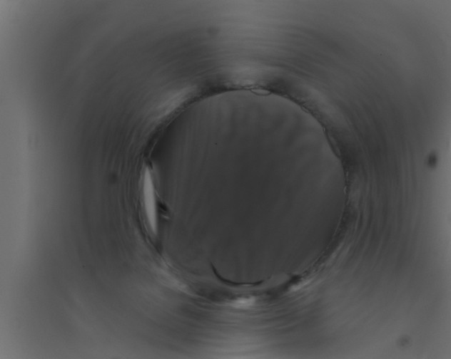 X0000094230076200711241754