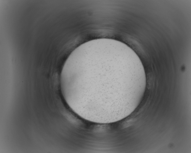 X0000094230077200711241754