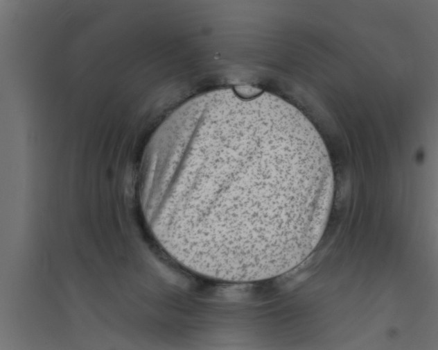 X0000094230078200711241754