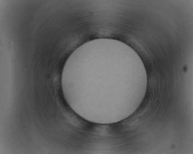 X0000094230079200711241754